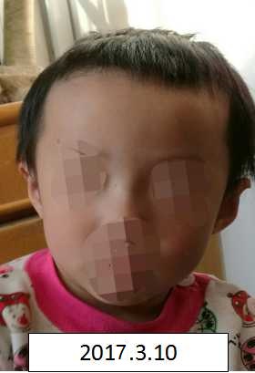 男女透板鸡视频大全